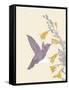 Hummingbird and flowers-Karen Williams-Framed Stretched Canvas