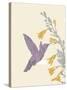 Hummingbird and flowers-Karen Williams-Stretched Canvas