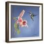 Hummingbird and Lily-Rusty Frentner-Framed Giclee Print