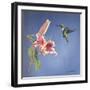 Hummingbird and Lily-Rusty Frentner-Framed Giclee Print