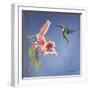 Hummingbird and Lily-Rusty Frentner-Framed Giclee Print