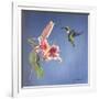 Hummingbird and Lily-Rusty Frentner-Framed Giclee Print