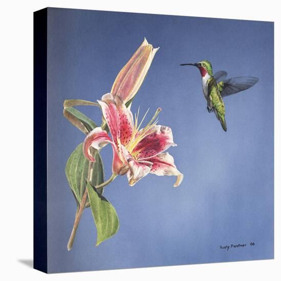 Hummingbird and Lily-Rusty Frentner-Stretched Canvas