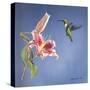 Hummingbird and Lily-Rusty Frentner-Stretched Canvas