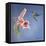 Hummingbird and Lily-Rusty Frentner-Framed Stretched Canvas