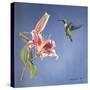 Hummingbird and Lily-Rusty Frentner-Stretched Canvas