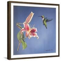 Hummingbird and Lily-Rusty Frentner-Framed Giclee Print