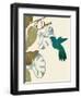 Hummingbird and Morning Glories-Karen Williams-Framed Giclee Print