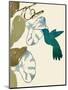 Hummingbird and Morning Glories-Karen Williams-Mounted Giclee Print