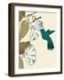 Hummingbird and Morning Glories-Karen Williams-Framed Giclee Print