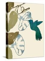 Hummingbird and Morning Glories-Karen Williams-Stretched Canvas