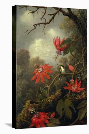 Hummingbird and Passionflowers, c.1875–85-Martin Johnson Heade-Stretched Canvas