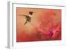 Hummingbird and Peach Hibiscus-Jai Johnson-Framed Giclee Print