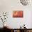 Hummingbird and Peach Hibiscus-Jai Johnson-Giclee Print displayed on a wall