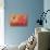 Hummingbird and Peach Hibiscus-Jai Johnson-Stretched Canvas displayed on a wall