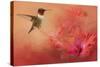 Hummingbird and Peach Hibiscus-Jai Johnson-Stretched Canvas