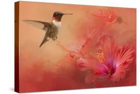 Hummingbird and Peach Hibiscus-Jai Johnson-Stretched Canvas