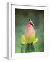 Hummingbird and the Lotus Flower-Jai Johnson-Framed Giclee Print