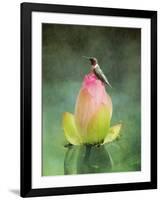 Hummingbird and the Lotus Flower-Jai Johnson-Framed Giclee Print