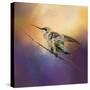 Hummingbird at Sunset-Jai Johnson-Stretched Canvas