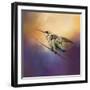 Hummingbird at Sunset-Jai Johnson-Framed Giclee Print