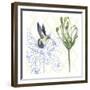 Hummingbird Dance III-Grace Popp-Framed Art Print
