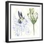 Hummingbird Dance III-Grace Popp-Framed Art Print