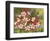 Hummingbird Feeding Frenzy-William Vanderdasson-Framed Giclee Print