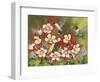 Hummingbird Feeding Frenzy-William Vanderdasson-Framed Giclee Print