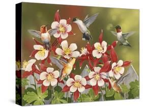 Hummingbird Feeding Frenzy-William Vanderdasson-Stretched Canvas