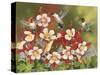 Hummingbird Feeding Frenzy-William Vanderdasson-Stretched Canvas