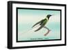 Hummingbird: Female Trochilus Cornutus-Sir William Jardine-Framed Premium Giclee Print