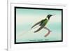 Hummingbird: Female Trochilus Cornutus-Sir William Jardine-Framed Art Print