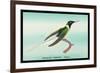 Hummingbird: Female Trochilus Cornutus-Sir William Jardine-Framed Art Print