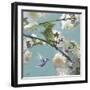 Hummingbird Florals II-Rick Novak-Framed Art Print