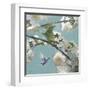 Hummingbird Florals II-Rick Novak-Framed Art Print