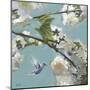 Hummingbird Florals II-Rick Novak-Mounted Art Print