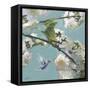 Hummingbird Florals II-Rick Novak-Framed Stretched Canvas