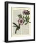 Hummingbird & Flower-Marion Mcconaghie-Framed Art Print