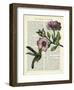 Hummingbird & Flower-Marion Mcconaghie-Framed Art Print