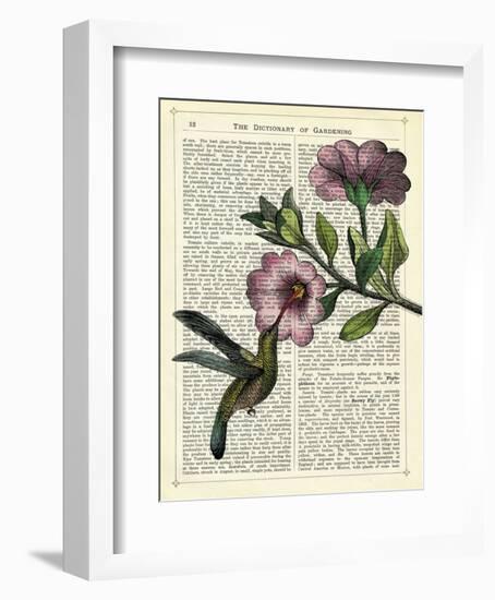 Hummingbird & Flower-Marion Mcconaghie-Framed Art Print