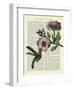 Hummingbird & Flower-Marion Mcconaghie-Framed Art Print