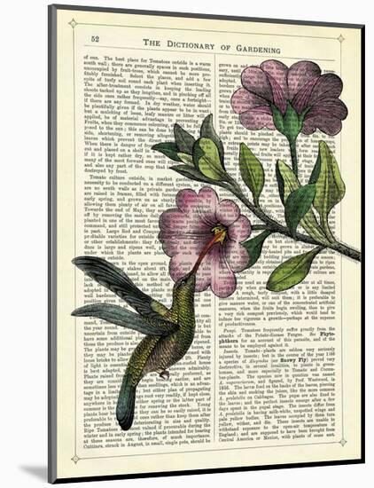 Hummingbird & Flower-Marion Mcconaghie-Mounted Art Print