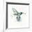 Hummingbird Flurry-Sillier than Sally-Framed Giclee Print