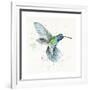 Hummingbird Flurry-Sillier than Sally-Framed Giclee Print