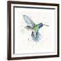 Hummingbird Flurry-Sillier than Sally-Framed Giclee Print