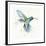 Hummingbird Flurry-Sillier than Sally-Framed Giclee Print