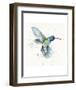 Hummingbird Flurry-Sillier than Sally-Framed Art Print