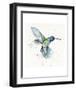 Hummingbird Flurry-Sillier than Sally-Framed Art Print