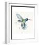 Hummingbird Flurry-Sillier than Sally-Framed Art Print